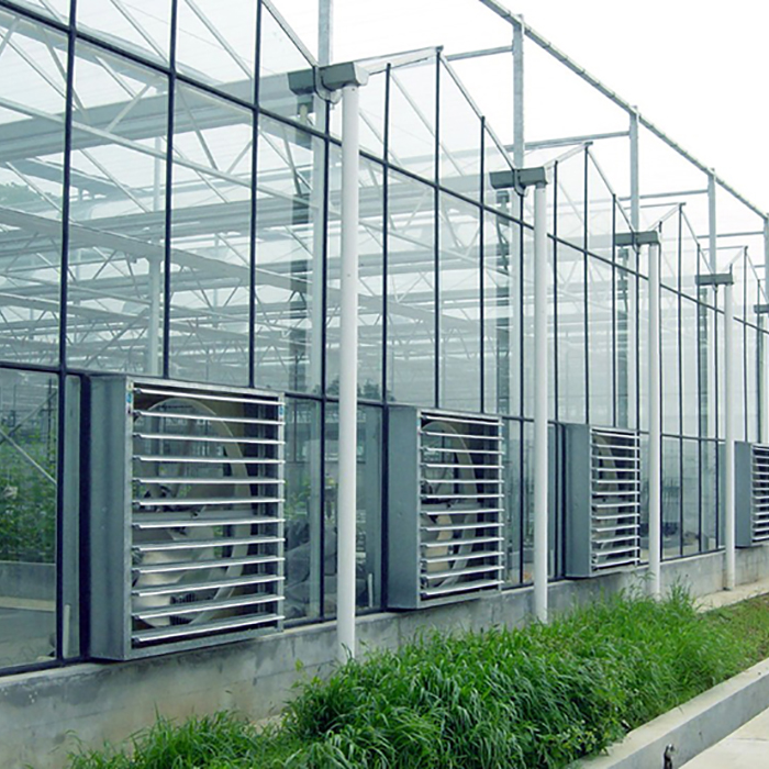 Skyplant Commercia Venlo Type Glass Greenhouse