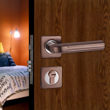 China Door Handle Lock Manufacturer (FDL76N)