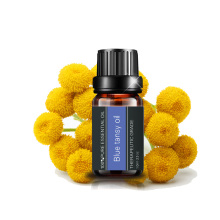 Huile de tansy bleu biologique naturel Huile essentielle pour les soins de la peau