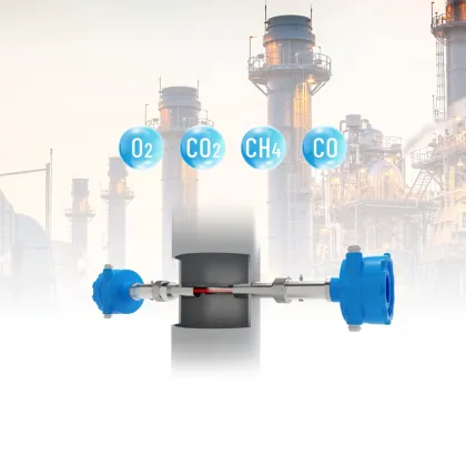 In-Situ Laser Process Gas Analyzer: O2, CO, CO2, CH4 Measurements with TDLAS Technology
