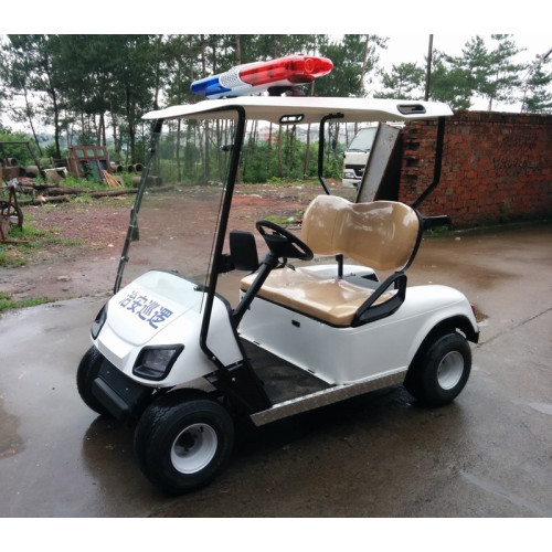 Carrito de golf eléctrico de 2 plazas