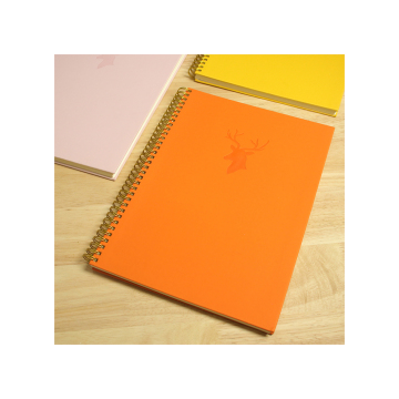 SINNIKO Custom School Notebook - Best Selling 300 Pages 80gsm Spiral Journal for Students