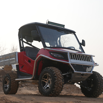 Vendita calda 4WD Electric UTV EV-25-01-4x4 Electric UTV per adulti