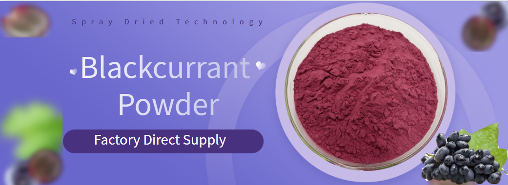 1.Blackcurrant Powder