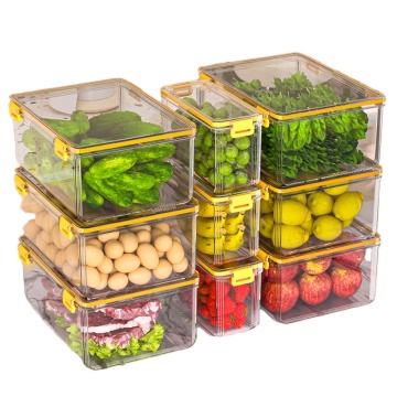 Large Capacity Transparent Plastic Food Storage Box for Home Use