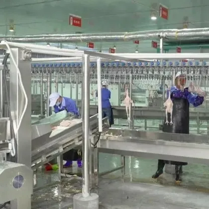 Steel Material Automatic Small Duck & Goose Slaughter Line Equipment for Poultry Farms