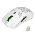 6D RGB Lighting Wireless Charging Mouse For Gaming