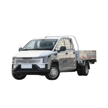 Lingshi Golden Card Double Row