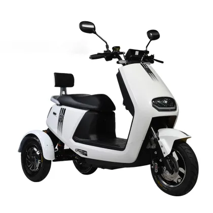 Electric Vehicles for Elderly Leisure: Scooters, Trikes, and More