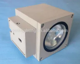 Square 2*10w led outdoor wall light