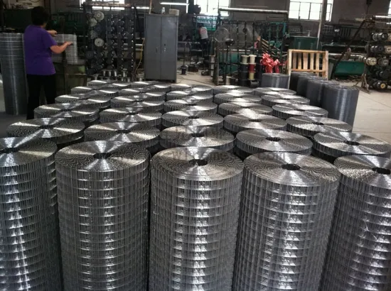 Stainless Steel Welded Wire Mesh