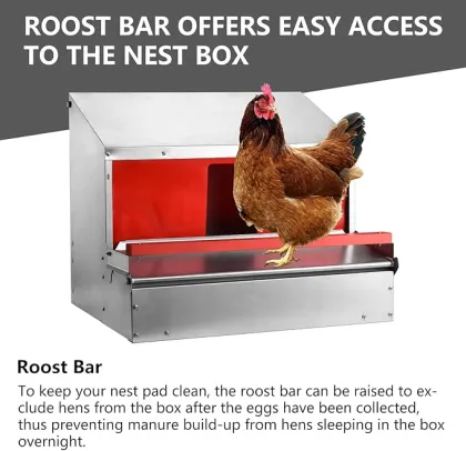 Reversible Egg Mount Roll Away Chicken Nesting Box Roost Bar