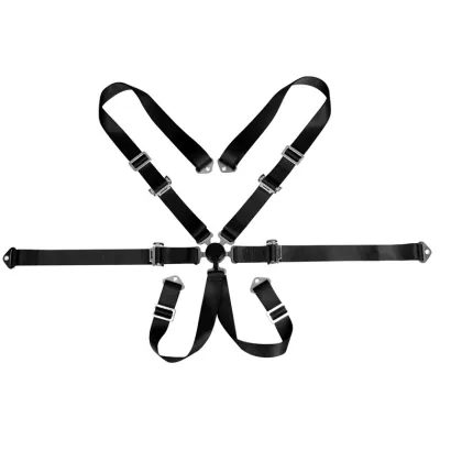 2 inch retractable Safety Seat Belt