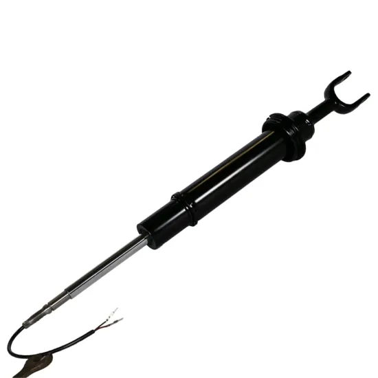 Pneumatic Air Suspension Shock Absorber for Phaeton Bentley Continental 3D0616040D 3D0616039D HG