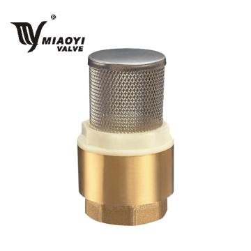 3/4 Inch Brass Check Valve with Vertical Stainless Filter for Water Pump