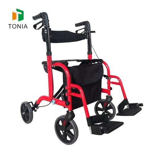Tonia tyska rulltransport rullstolsvandrare aids