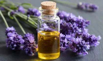 Pure Lavender Essential Oil