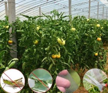 Garteninsektennetz im Freien