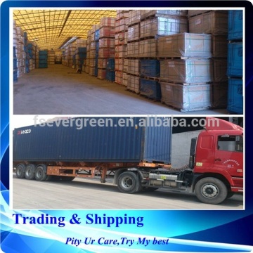 freight forwarder foshan to Iran shipping freight quotation