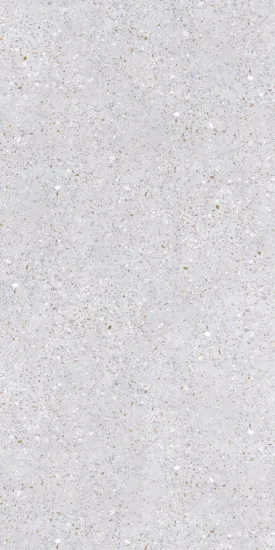 Terrazzo Look 60*120 Matt Finishing Porcelain tiles