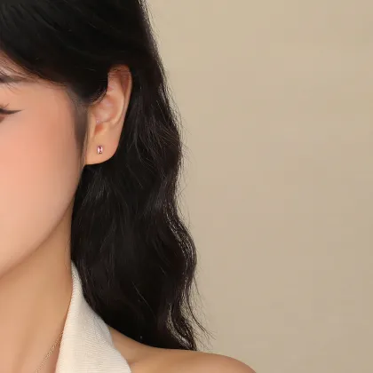 Amiee Fashion 925 Sterling Silver Colorful Zircon Diamond Stud Earrings