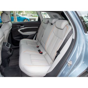 Luxury Electric SUV Guide: Focus on Audi E-tron