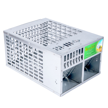 Anti Mice Rat mouse trap with customized