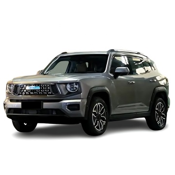 2023-2024 Haval H-Dog DHT-PHEV New Energy Model