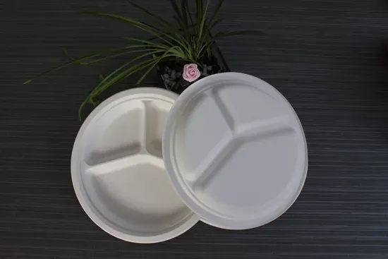 Eco Friendly 9 Inch 3 Compartment Bagasse Plate