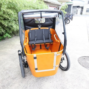 2024 Electric Cargo Bike: Front Loading Swing Balance Kids Trike & Family Ebike Tricycle