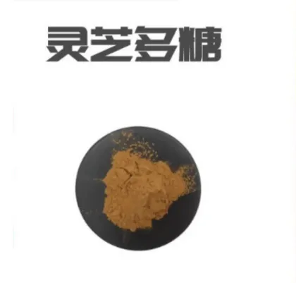 Ganoderma Lucidum Extract Powder