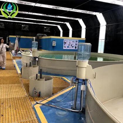 MYXL Aquaponics Greenhouse Fisheries: Fish Farming Equipment and Aquaculture Systems