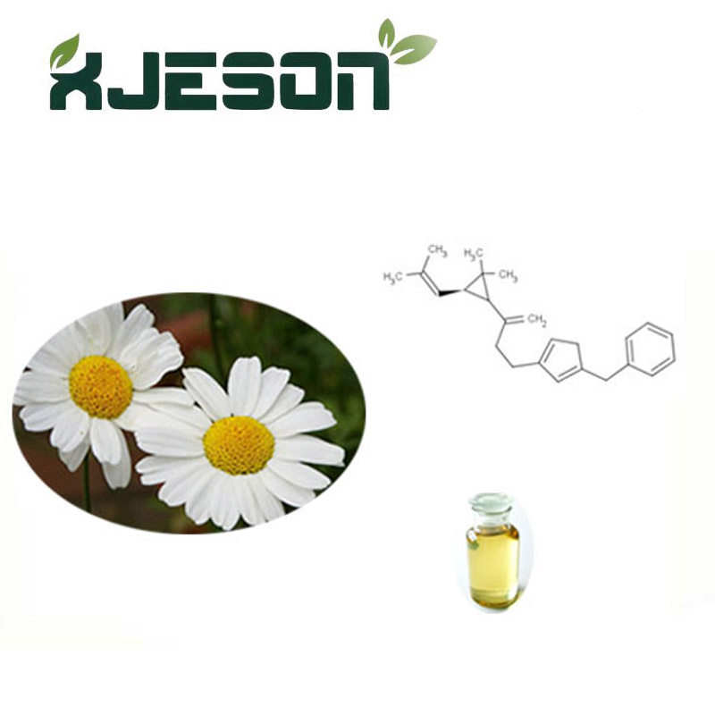 100% 천연 pyrethrum 추출물