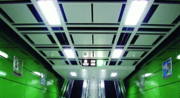 Custom-Made Aluminum Ceiling Panel