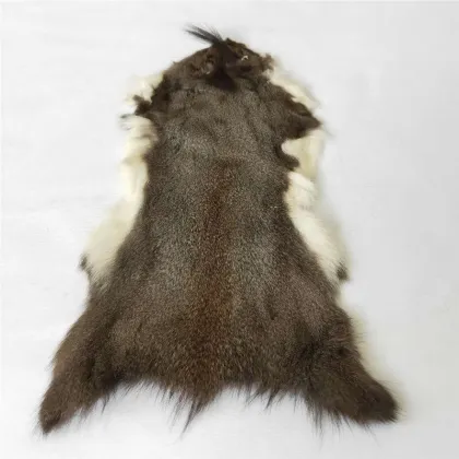 squirrel hides tanned squirrel skin grey squirrel fur pelt