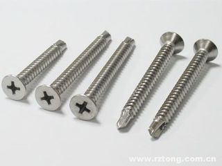 Stainless Steel Casting Bolt/Screw