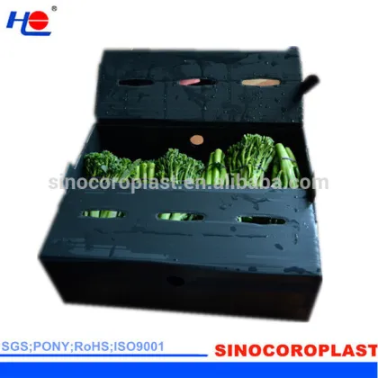 Plastic Okra Box