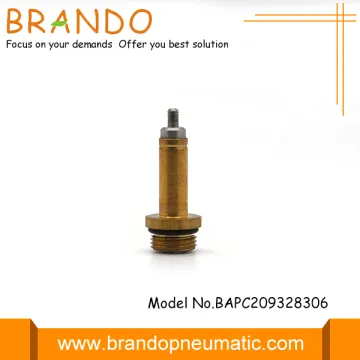 12V DC Lpg Pressure Reducer Solenoid Valve Plunger