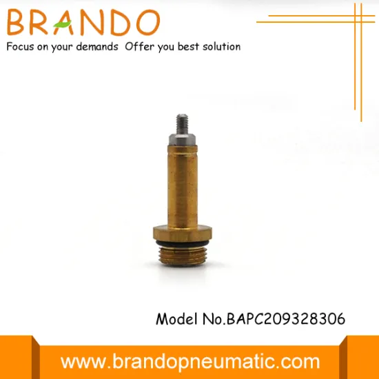 12V DC Lpg Pressure Reducer Solenoid Valve Plunger