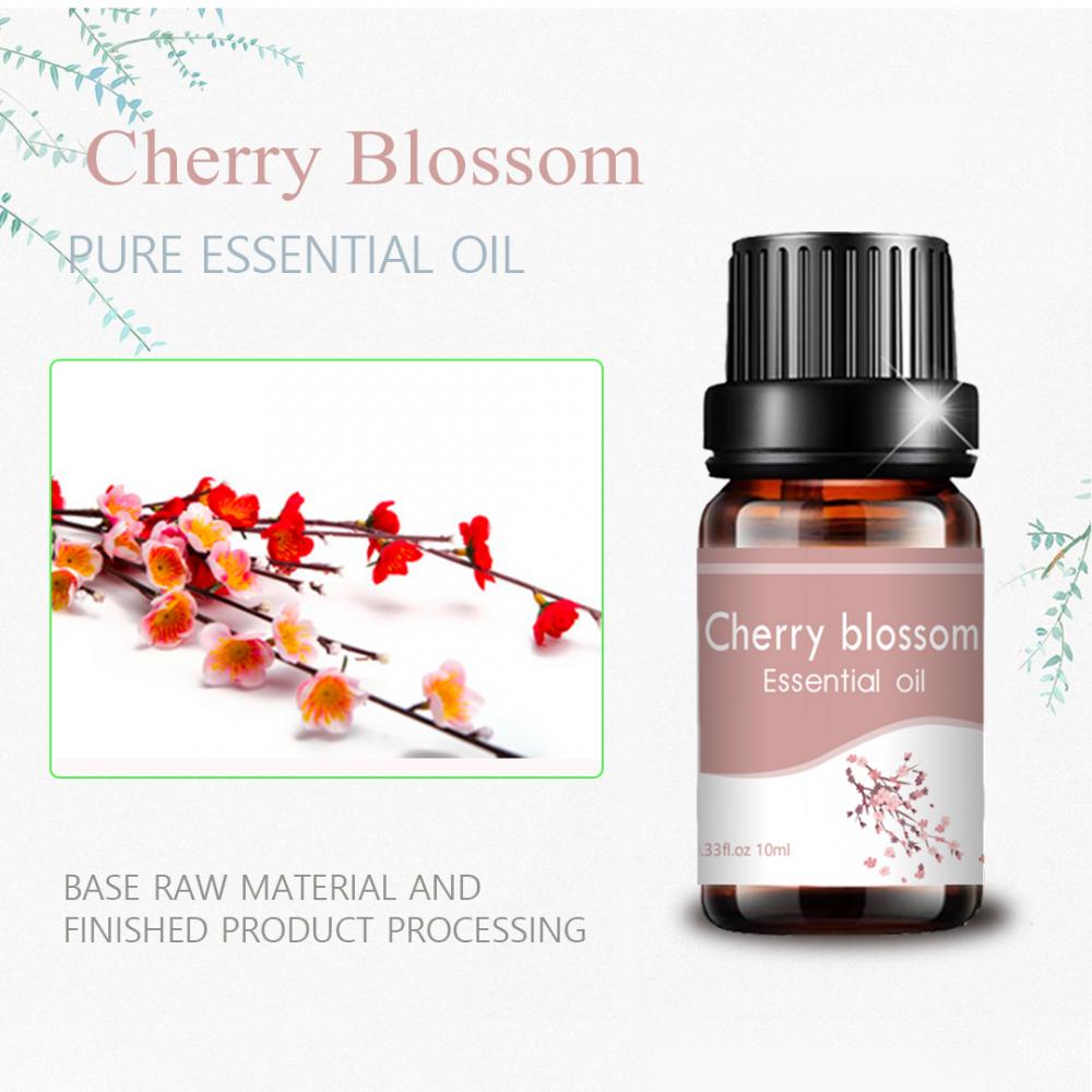 therapeutic grade 10ml top quality cherry blossom oil aroma