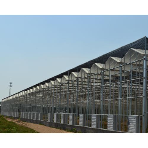Gear Rack Shade Curtain System