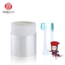 Disposable toothbrush filament biobased brush fiber