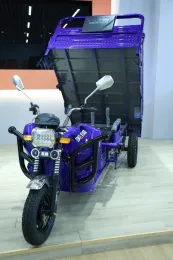 Affordable agricultural Weihu Cargo Electric Tricycle