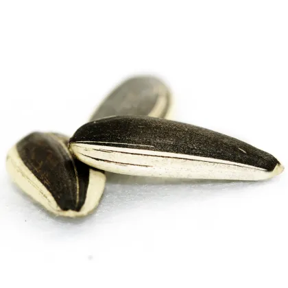 Sunflower seeds for sale/ Sunflower seeds for planting