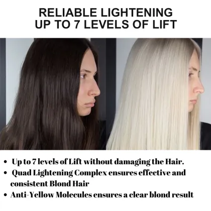 Professional Gray Hair Dye and Bleaching Powder for Salons