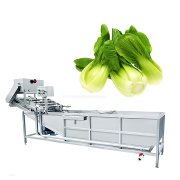 Industrial Ultrasonic Leafy Vegetable and Fruit Washing Machine