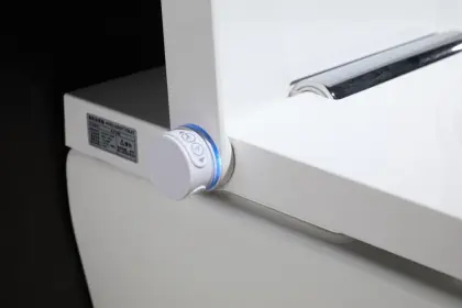 Floor mounted new style electronic intelligent toilet