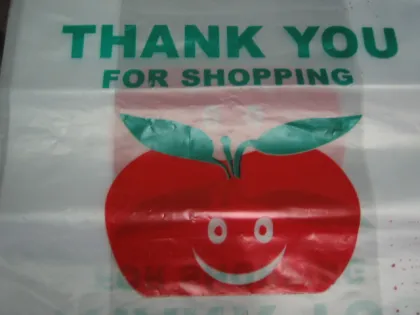 Two Color Flexo Printing Machinery