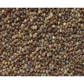مورد مسحوق استخراج Shayuanzi الطبيعي