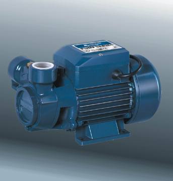Vortex Pump (DQm60-1)